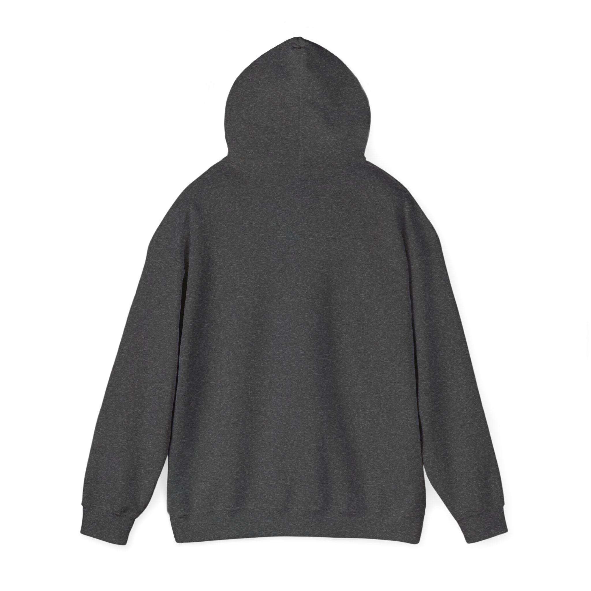 Born To Be A Champion Pullover Hoodie
